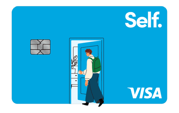 Self Secured Visa card art